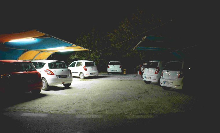 Alto 800